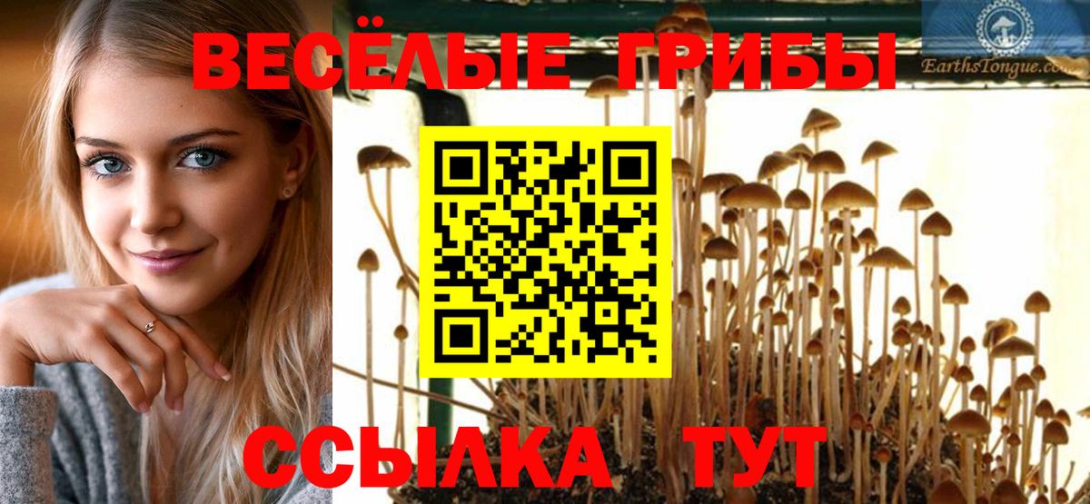 Галлюциногенные грибы Psilocybe  Вход с VPN  Нерюнгри  Галлюциногенные грибы Cubensis 