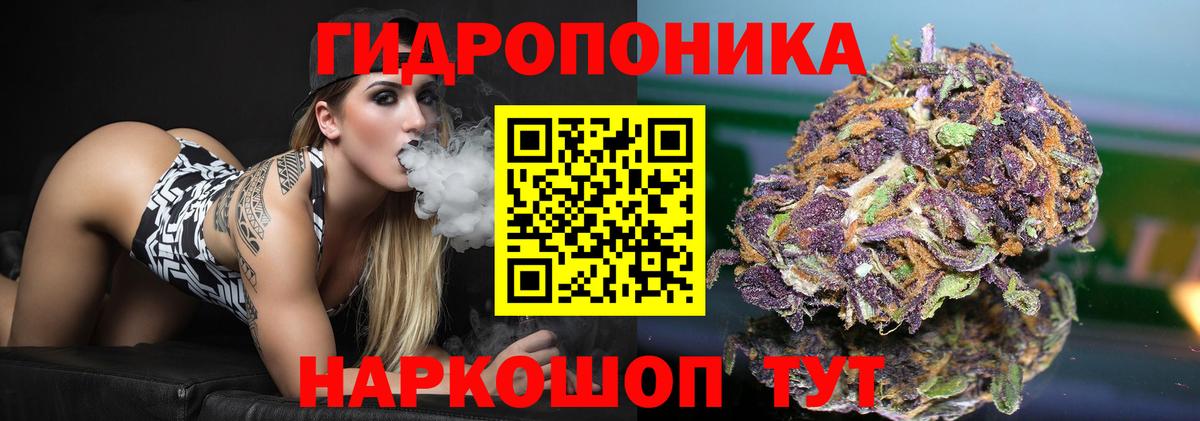 Конопля гибрид Нерюнгри